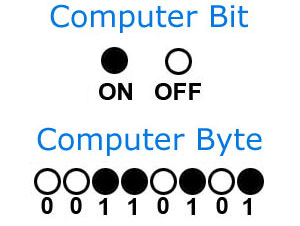 Bits vs Bytes